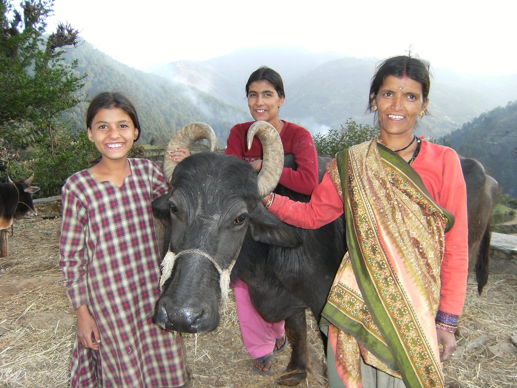 Indische Mutter mit ihren beiden Töchtern und Kuh in ihrer Mitte, glücklich mit natürlicher Landwirtschaft